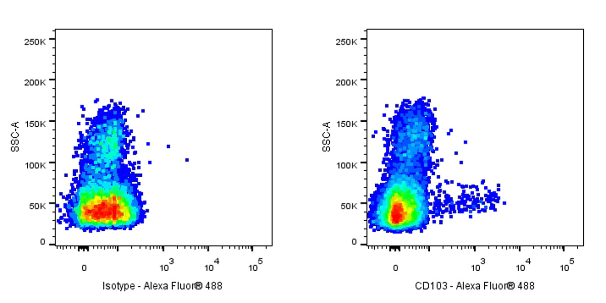 Alexa Fluor® 488 Mouse Anti-Human CD103 Antibody (Ber-ACT8)