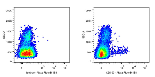 Alexa Fluor® 488 Mouse Anti-Human CD103 Antibody (Ber-ACT8)