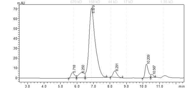 EPHA1 Protein