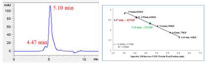 AKT2 GST Tag Protein, Human