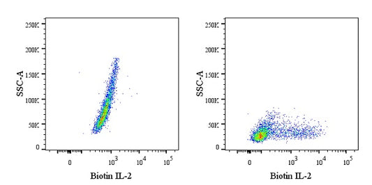 Biotin Rat Anti-Mouse IL-2 Antibody (JES6-5H4)