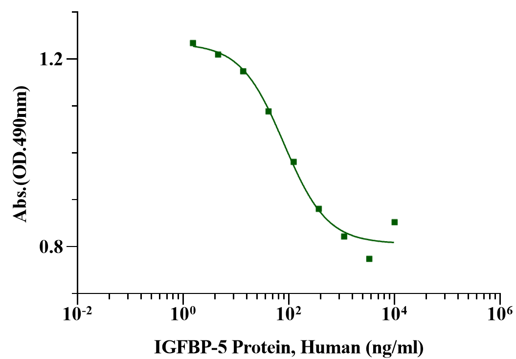 IGFBP-5 Protein, Human