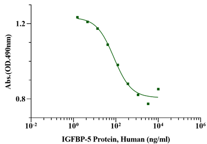IGFBP-5 Protein, Human