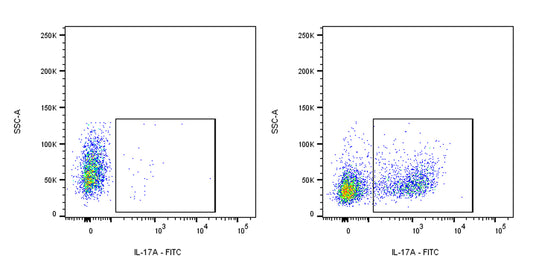 FITC Rat Anti-Mouse IL-17A Antibody (S-R683)
