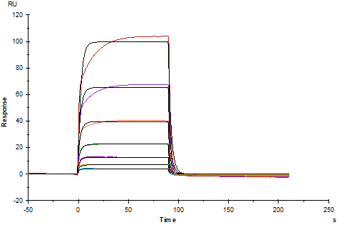 PD-1 Fc Chimera Protein, Cynomolgus