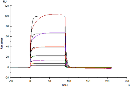 PD-1 Fc Chimera Protein, Cynomolgus
