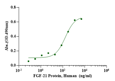 FGF-21 Protein, Human
