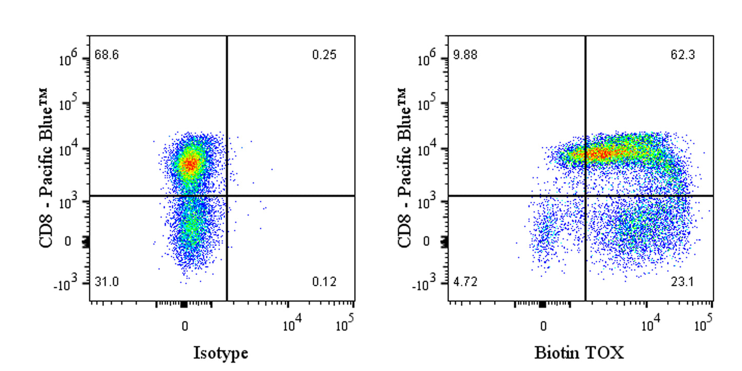 Biotin Rat Anti-Human/Mouse TOX Antibody (S-4516)