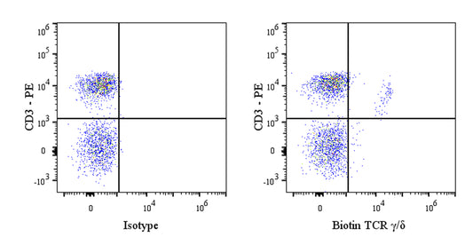Biotin Mouse Anti-Rat TCR γ/δ Antibody (V65)