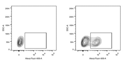 His tag Rabbit Polyclonal Antibody