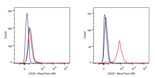 NA/LE Mouse anti-human CD28 mAb