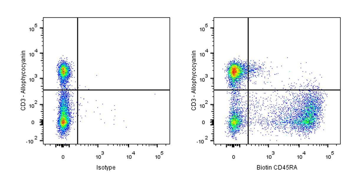 Biotin Mouse Anti-Rat CD45RA Antibody (OX-33)