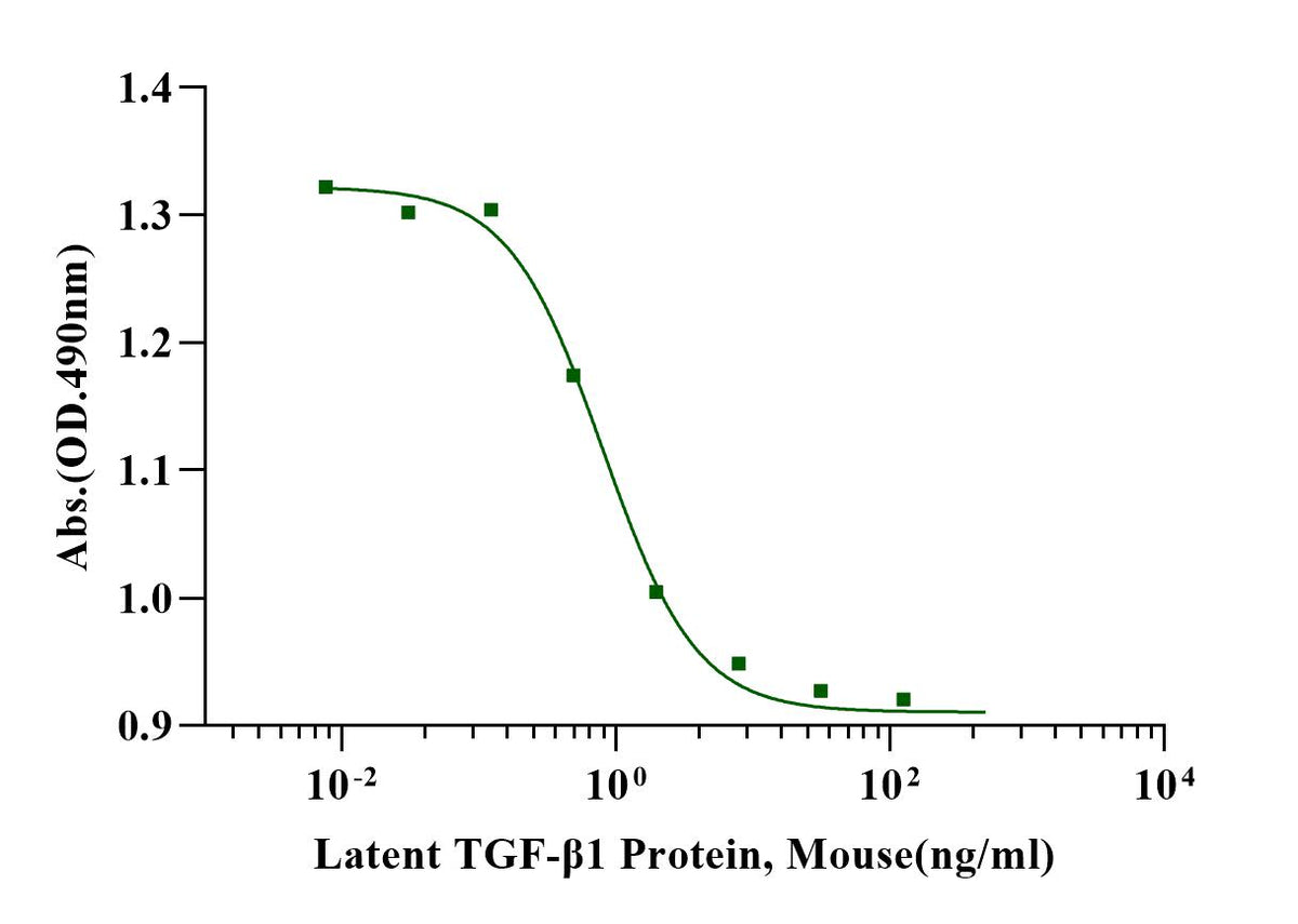 Latent TGF-β1 Protein, Mouse
