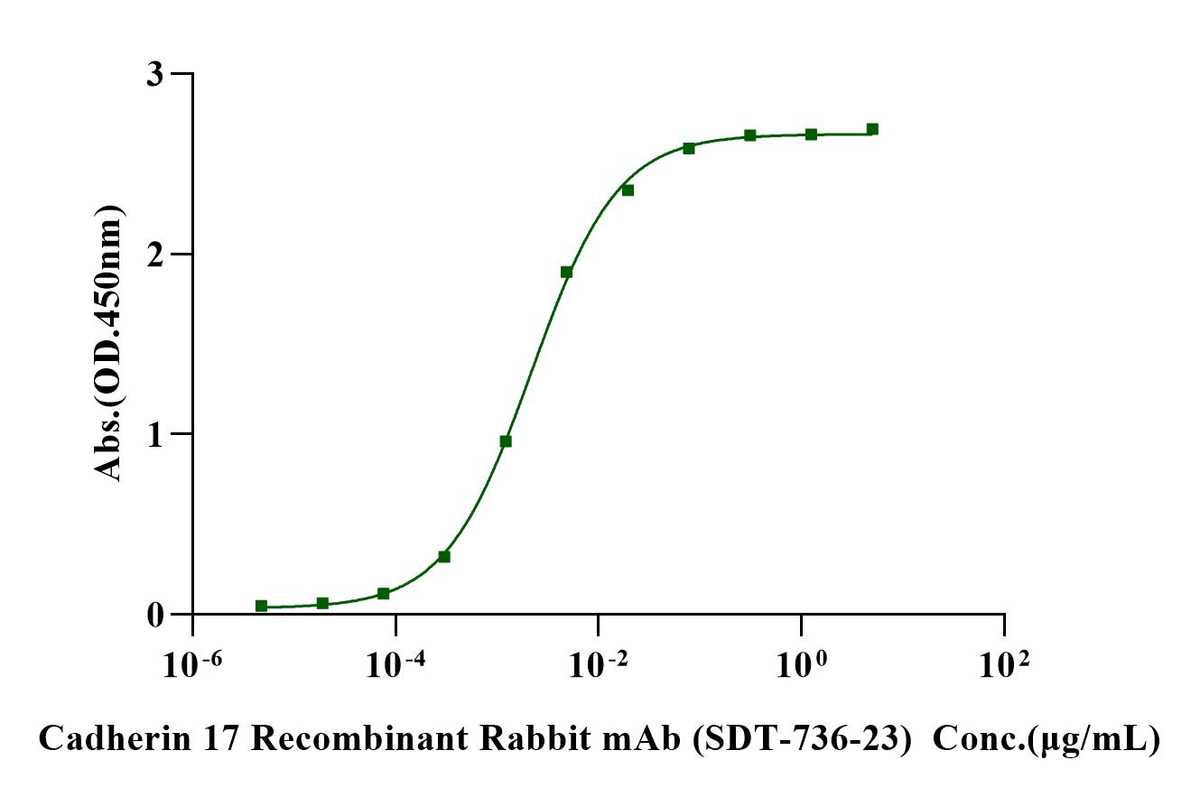 CDH17/LI-cadherin His Tag Protein, Rat