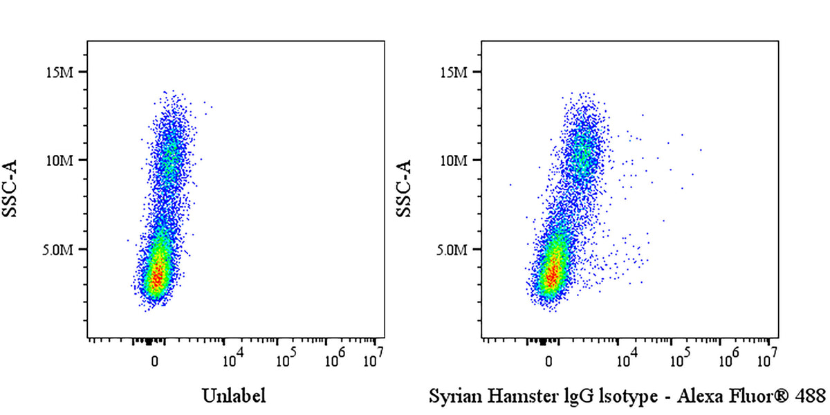 Syrian Hamster IgG Isotype Control