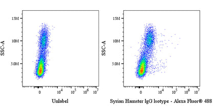 Syrian Hamster IgG Isotype Control
