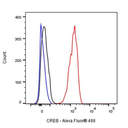 CREB Recombinant Rabbit mAb (S-1115-39)