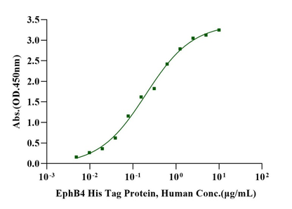 Ephrin-B2 Fc Chimera Protein, Human