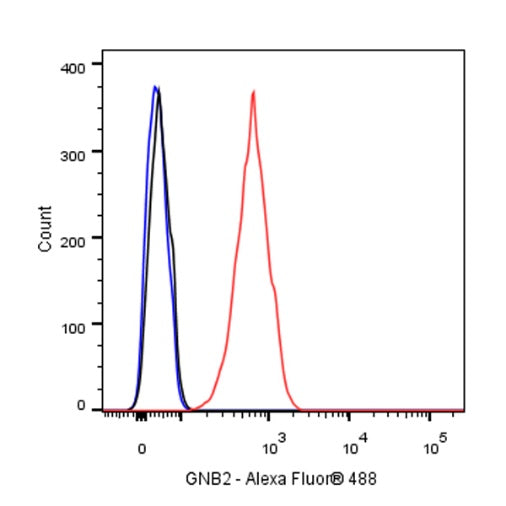 GNB2 Recombinant Rabbit mAb (S-645-10)