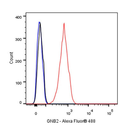 GNB2 Recombinant Rabbit mAb (S-645-10)