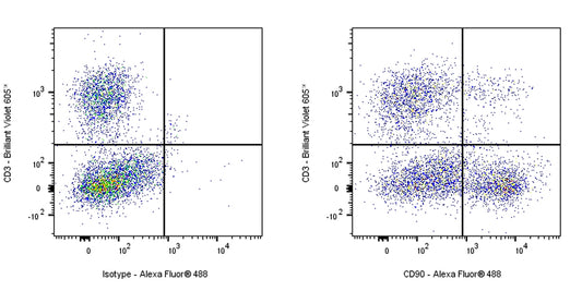 Mouse Anti-Rat CD90 Antibody (S-R687)
