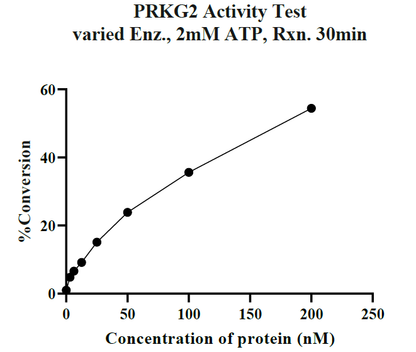 PRKG2 GST Tag Protein, Human