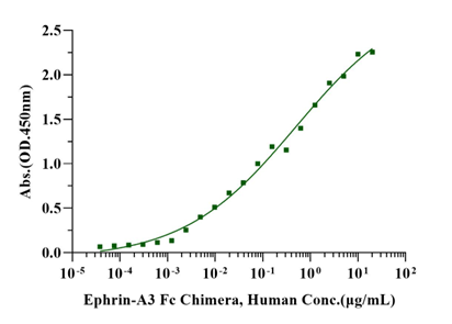 EphA10 His Tag Protein, Human