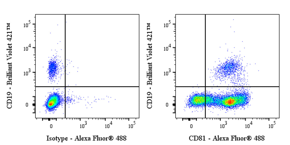Mouse Anti-Human CD81 Antibody (S-5594)