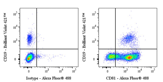Mouse Anti-Human CD81 Antibody (S-5594)