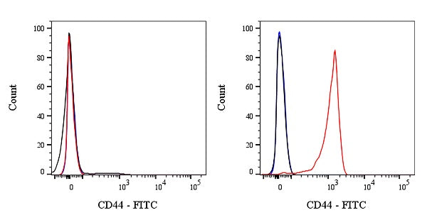 FITC Rabbit Anti-Human CD44 Antibody (S-944-25)