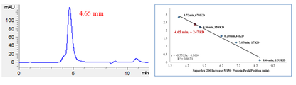 USP40 Protein