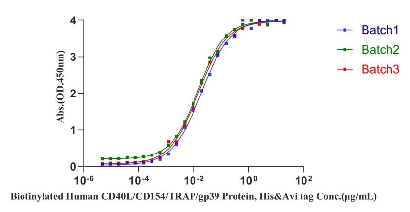 CD40 His Tag Protein, Human