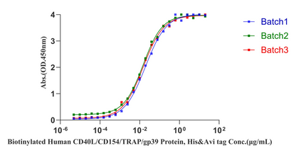 CD40 His Tag Protein, Human