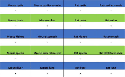 TROP1/EPCAM Recombinant Rabbit mAb (S-1379-5)