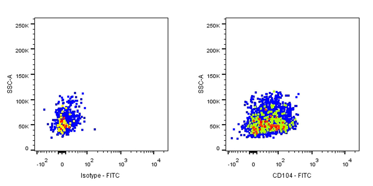 FITC Rat Anti-Mouse CD104 Antibody (S-R716)