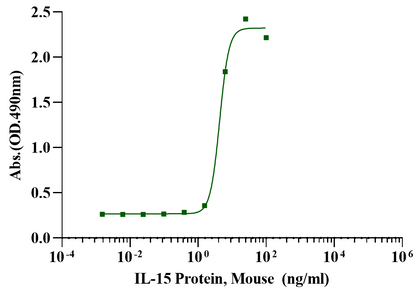 IL-15 Protein, Mouse