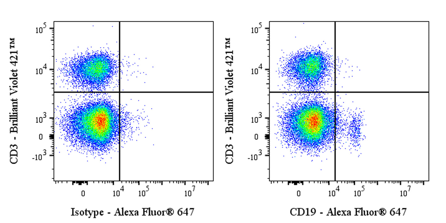 Alexa Fluor® 647 Mouse Anti-Human CD19 Antibody (S-1039-46)