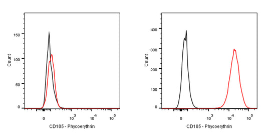 PE Rat Anti-Mouse CD105 Antibody (MJ7/18)