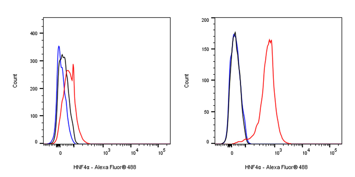 HNF4α Recombinant Rabbit mAb (SDT-373-64)