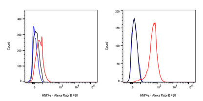 HNF4α Recombinant Rabbit mAb (SDT-373-64)
