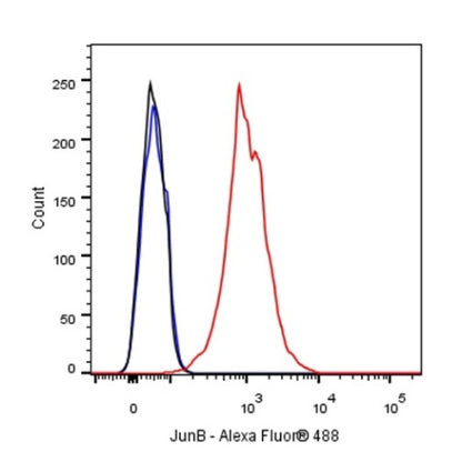 JunB Recombinant Rabbit mAb (S-R294)