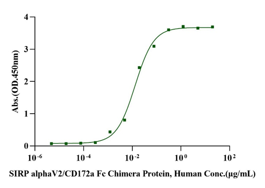 SIRP alphaV2/CD172a Fc Chimera Protein, Human