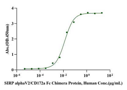 SIRP alphaV2/CD172a Fc Chimera Protein, Human