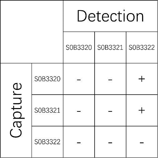 FGF-21 Recombinant Rabbit mAb (SDT-1313-11)