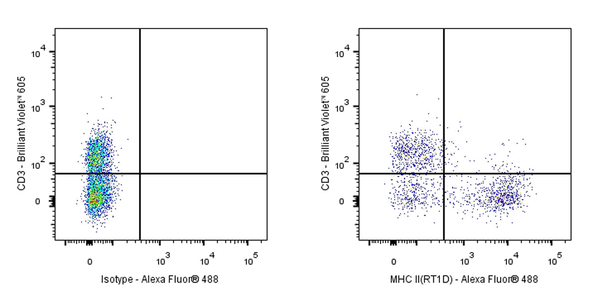 Mouse Anti-Rat MHC II (RT1D) Antibody (OX-17)
