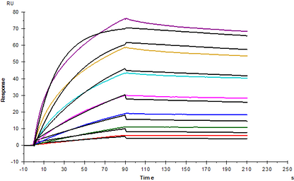 TSLP His Tag Protein, Human