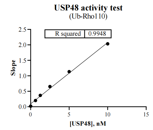USP48 Protein