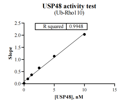 USP48 Protein