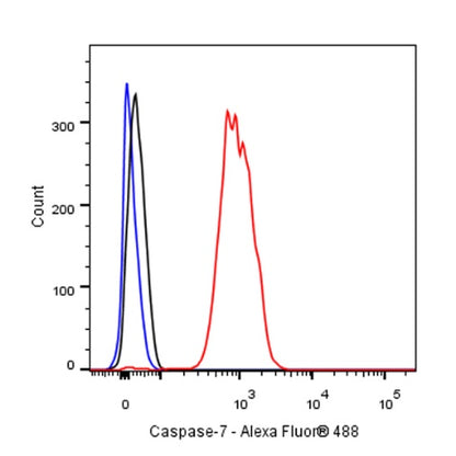 Caspase-7 Recombinant Rabbit mAb (S-R254)