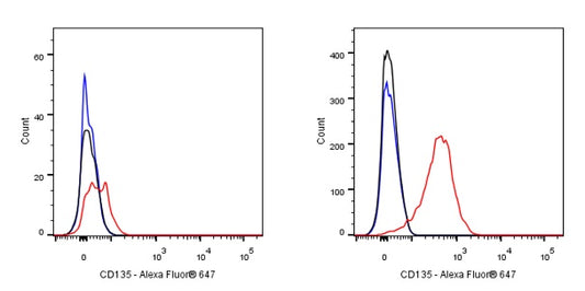 Mouse Anti-Human CD135 Antibody (S-3176)